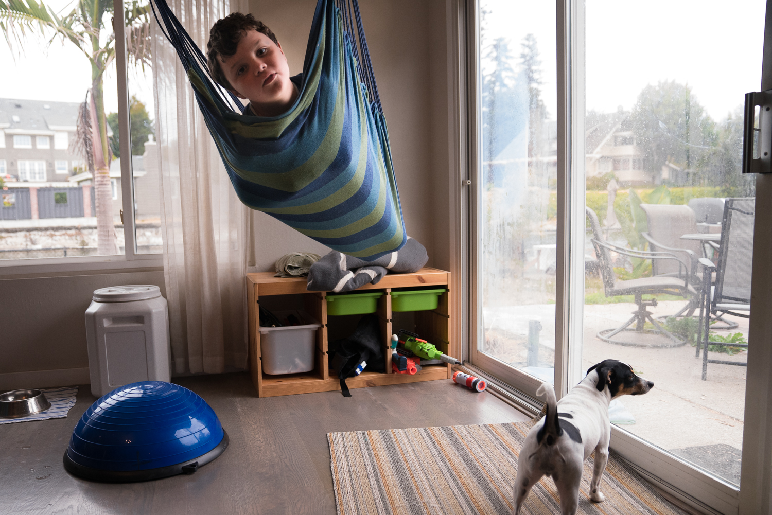 A boy lies in a hammock inside a room surrounded by window while a dog peers out the window.